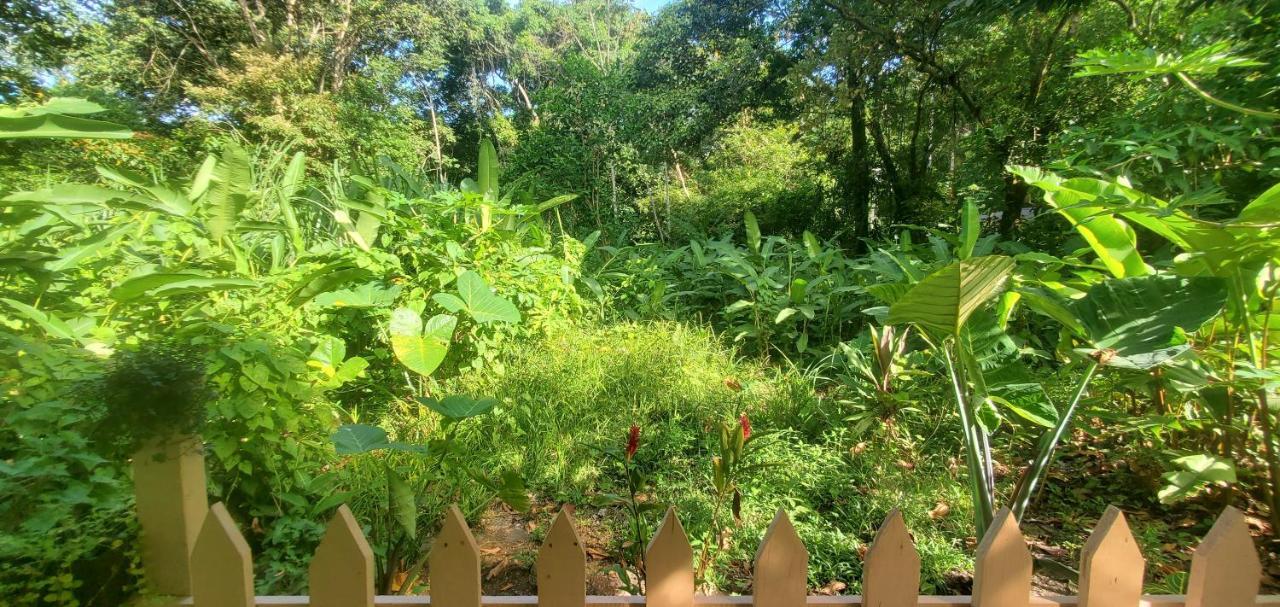 Casa Chilamates 2.0 Tortuguero Exterior photo